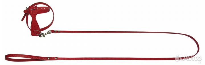 Шлейка с поводком для кошки
