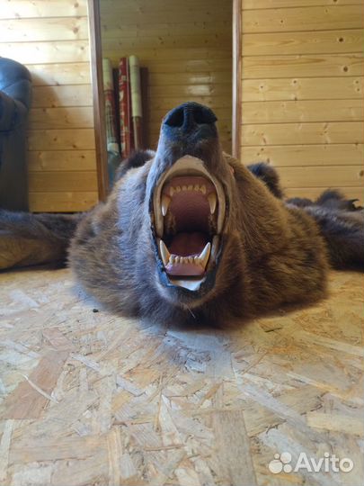 Медвежья шкура (имитация)