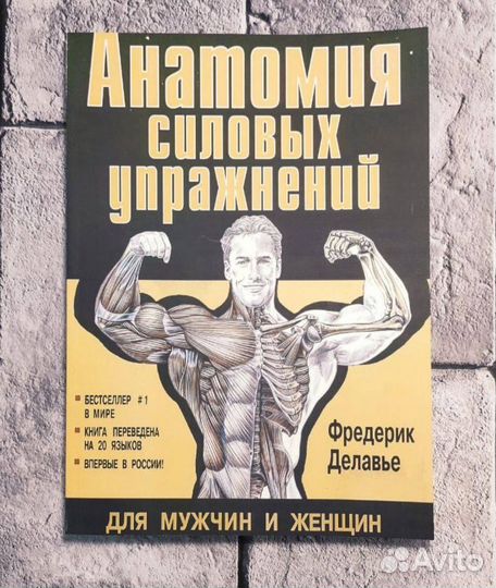 Анатомия силовых упражнений