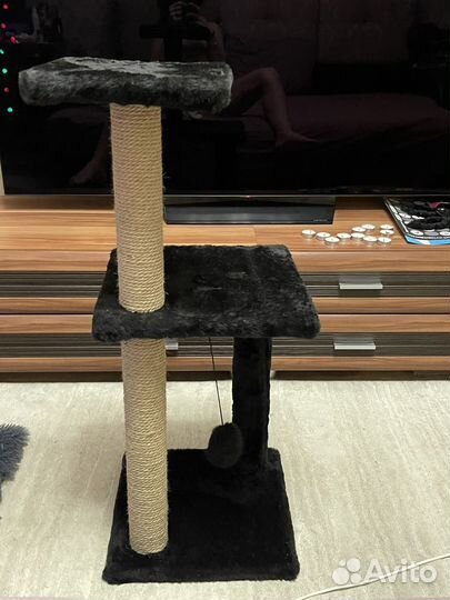 Когтеточка для кошек