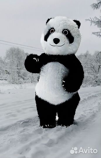 Ростовая кукла. На праздник. Поздравление