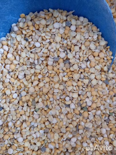 Горох кормовой колотый