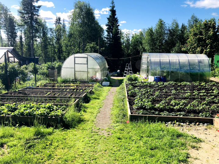 Дом 90 м² на участке 22 сот.