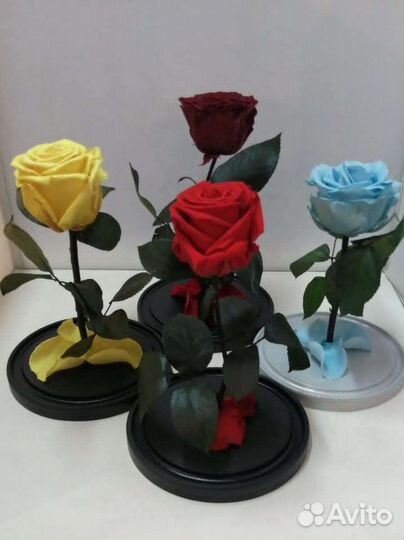 Цветы оптом