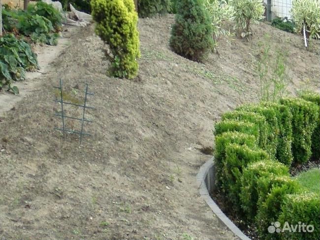 Мульча оптом от 100кг