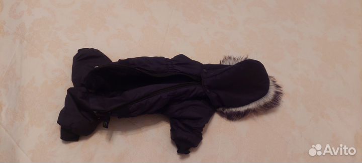 Комбинезон утепленный для бульдога