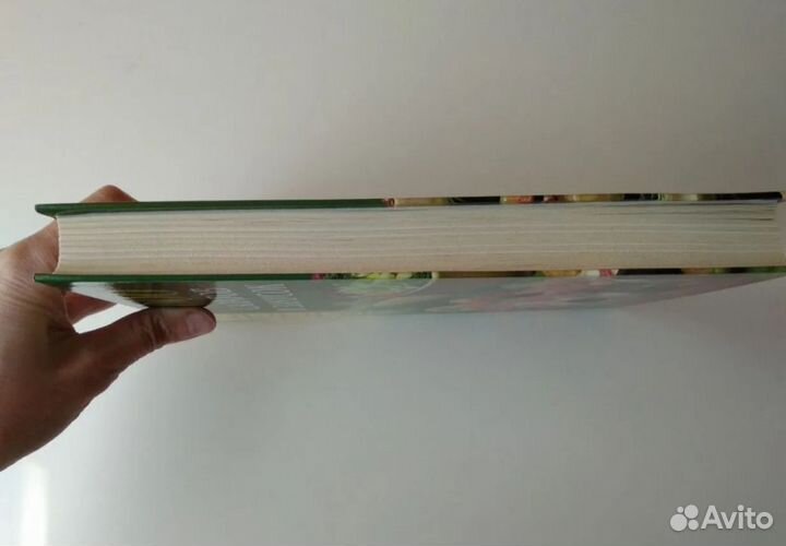 Салаты и закуски книга