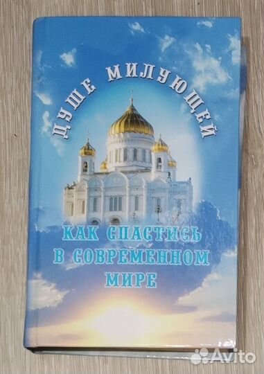 Душе милующей. Как спастись в современном мире