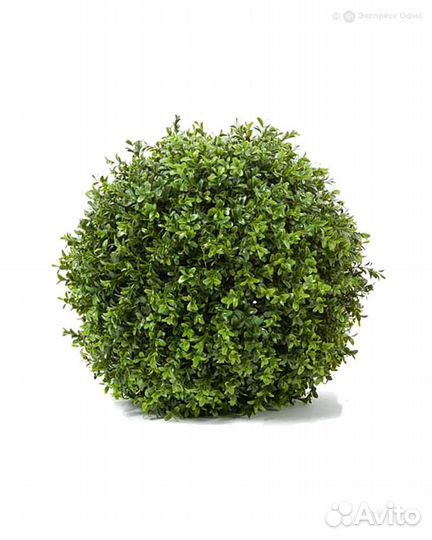 Самшитовый шар (Декор) 40см