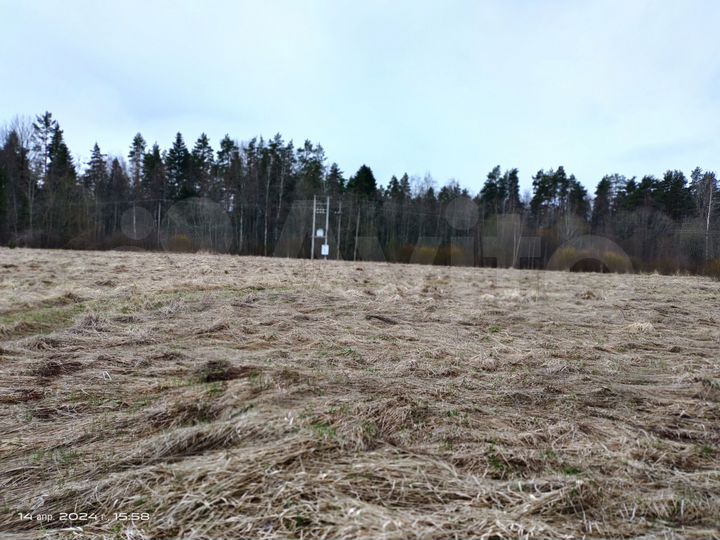 Участок 15 сот. (СНТ, ДНП)