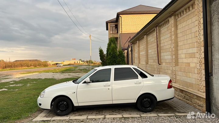 Каркасные сетки на авто