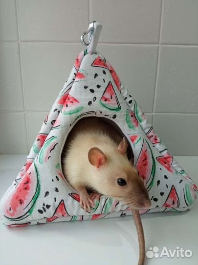 Домики и гамаки для грызунов