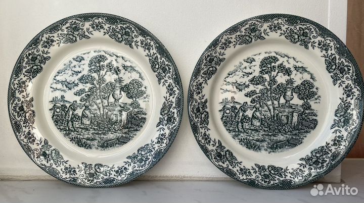 Тарелка пара