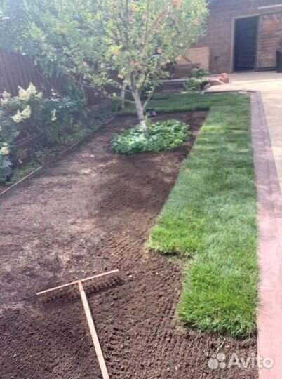 Рулонный газон 