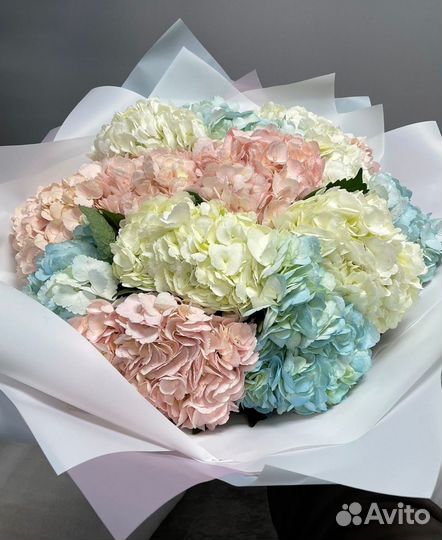 Букеты из гортензий Цветы Розы Пионы Гипсофила