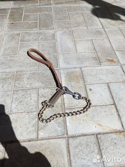 Строгий ошейник поводок хром с амортизатором