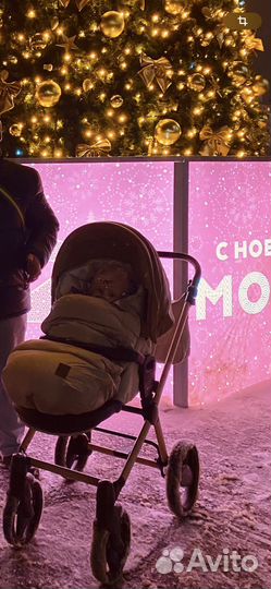 Коляска 2 в 1invictus+допы