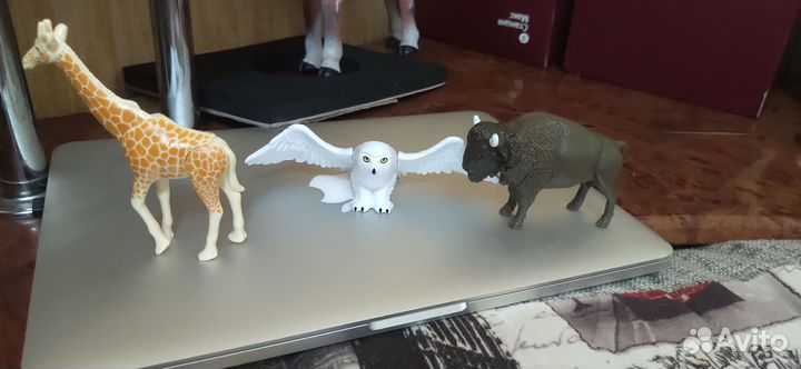 Киндер Макси natoons