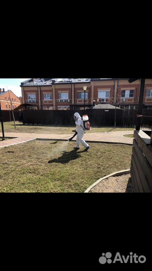 Дезинфектор Уничтожение / Тараканы/ Клопы/Плесень