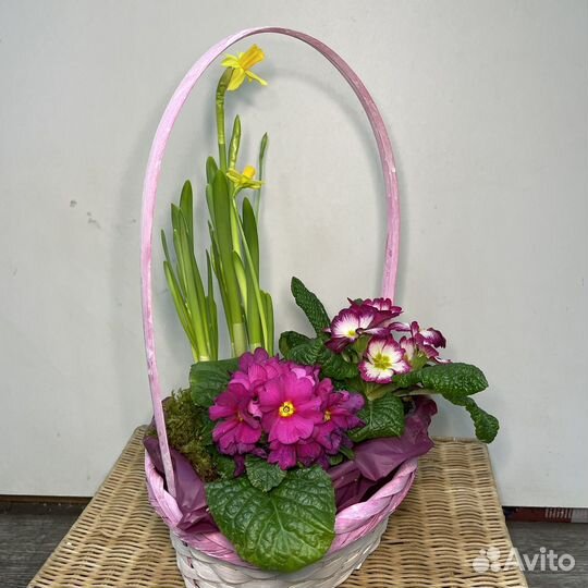 Цветы в корзине нарциссы и примулы