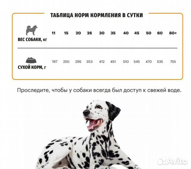 Корм сухой для собак karmy Active Medium & Maxi Ин