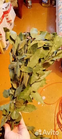 Лавровые веники, лаврушка, лавр