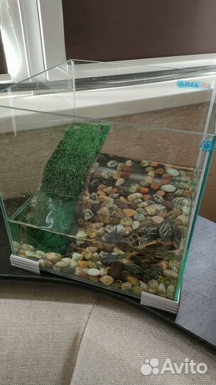 Террариум для красноухой черепахи