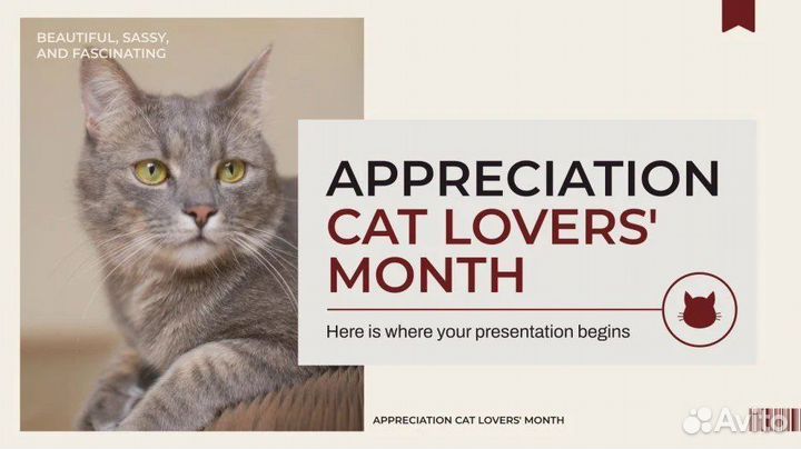 Создание презентаций