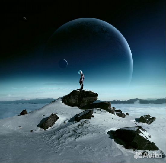 Фотография Yellowkorner