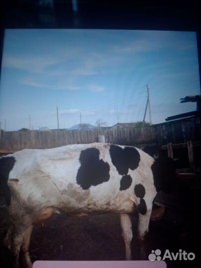 Телефон Huawei