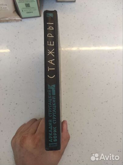 Аркадий и Борис Стругацкие.Стажеры