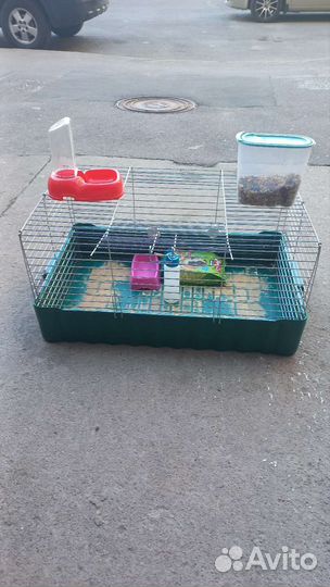 Клетка для хомяка бу