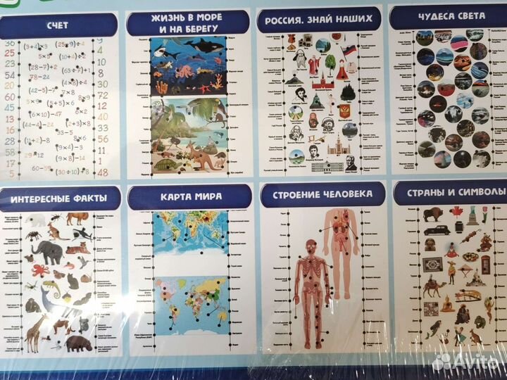 Обучающие игрушки