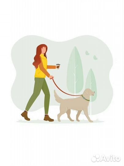 Выгул собак