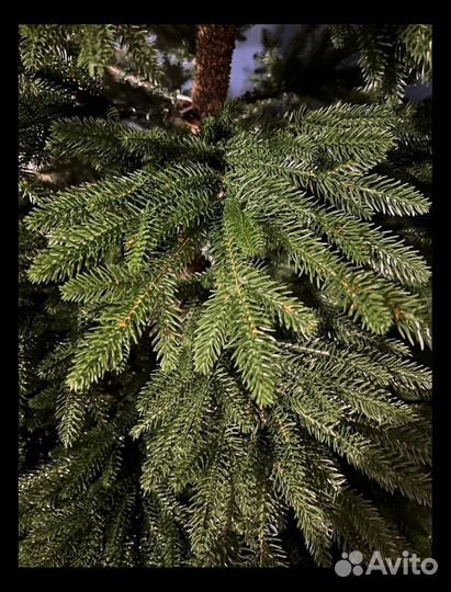 Ель литая Таежная + Бесплатная Доставка