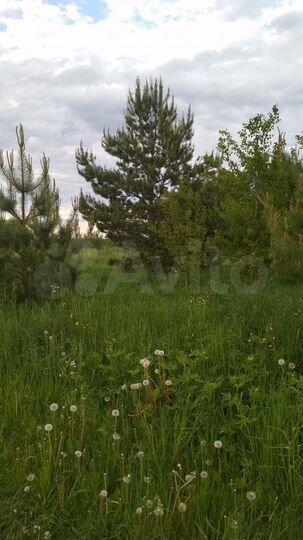 Участок 16,4 сот. (ИЖС)