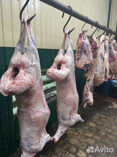 Мясо говядина баранина