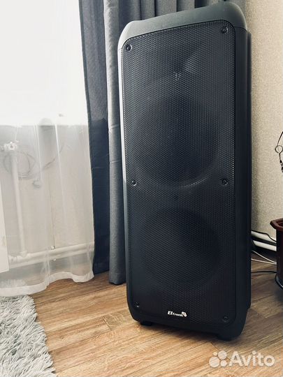 Колонка eltronic 20-56