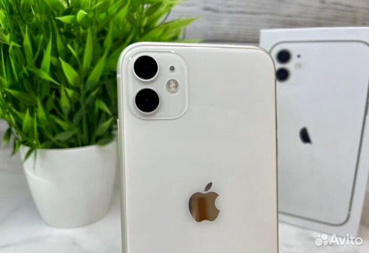 iPhone 11, 256 ГБ