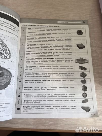 Биология егэ,огэ школьный курс