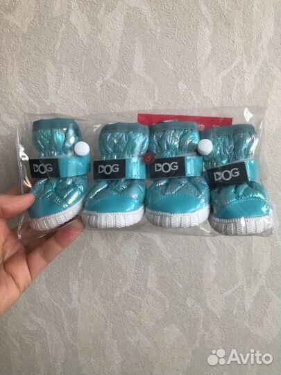 Обувь для собак мелких пород