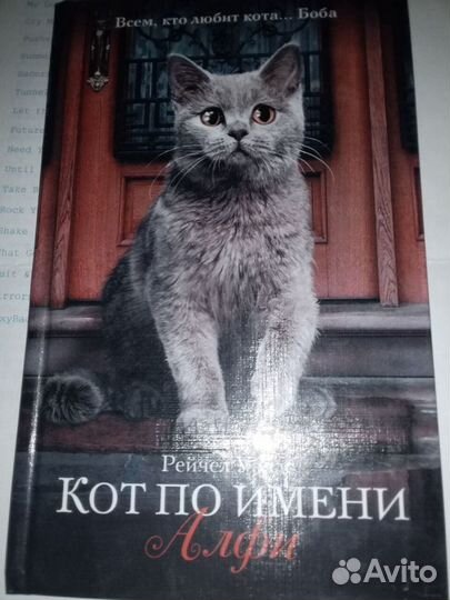Книги новые про кошек