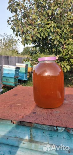 Мёд со своей пасеки