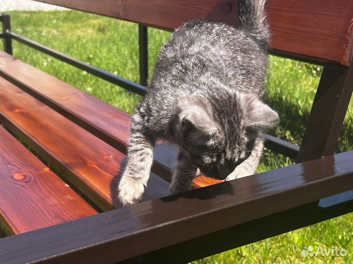 Скамейка в стиле лофт