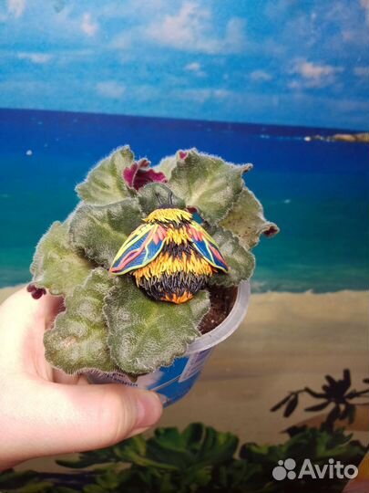 Брошь пчела