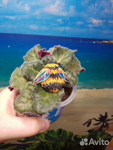 Брошь пчела