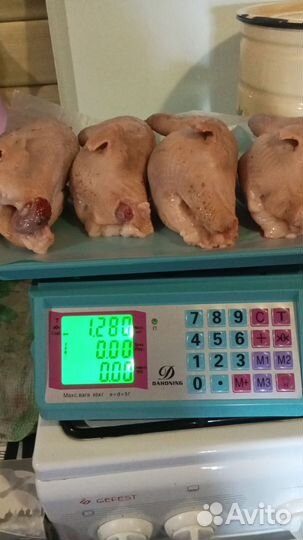 Утки и куры