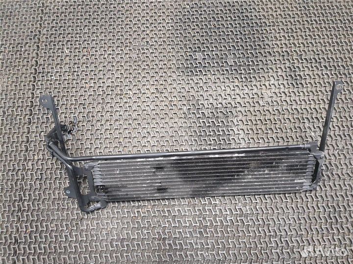 Радиатор масляный Volkswagen Tiguan, 2011