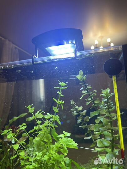 Светодиодная лампа для аквариума