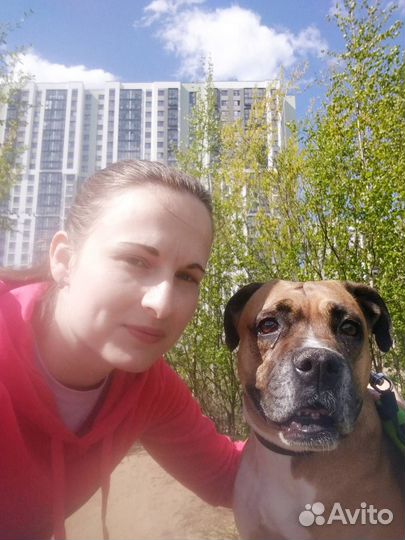 Выгул собак/зооняня/грумер